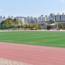 신수로683번길 이미지