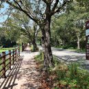 대청호오백리길 백골산성낭만길 이미지