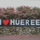 41190-01-07-335 | [제주도 여행지 추천] 휴애리자연생활공원 자연과 축제가 어우러진 곳