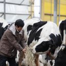 금성목장 이미지