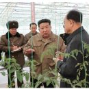 관영농장 이미지