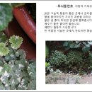 초가정원 이미지