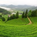 봇재다원화장실 이미지