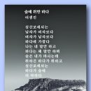 술에 취한 바다 - 이생진 이미지