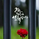 행복한하루 이미지