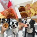 멍개식당 | 의정부 멍개식당 강아지 수제간식 만들기 클래스, 원데이클래스 후기!