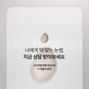 펄미에이트 이미지