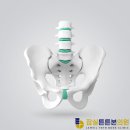 잠실튼튼본의원 이미지