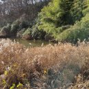 함라산둘레길 이미지