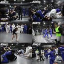 MMA주짓수 이미지