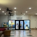 (ABC)스낵 | 괌 PIC 4박5일 여행후기 (2) - 부티키샵 기념품 / 괌 예티 텀블러 / abc스토어 태닝키티