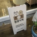 멍멍식탁 이미지