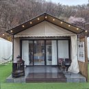 메이플글램핑카라반 | 포천 메이플글램핑 카라반 감성글램핑 객실 내돈내산 후기