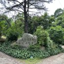 캠프보산 화장실 | [동두천 마차산] 서울에서 한시간 거리 시티뷰 최고 백패킹 장소 추천