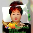 혜경목장 네이버블로그