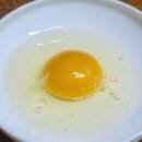 유한회사 청년축산 유통 | 난각 번호 1번 유정란 직구 | 국내산 상황버섯 자연방사 [양계장청년]