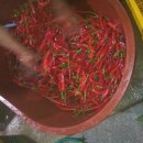 은적자연관광농원 이미지