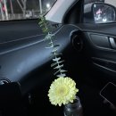 광주부케말리기 소별로망스, 꽃 한 송이도 주문 제작 가능할까요? 후기