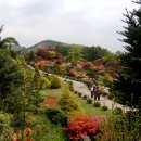 삼일농장 이미지