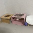 달빛시루 이미지