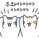 생명샘교회 앞 이미지