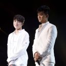 더콜라보레이션