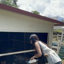 성심목장 이미지