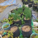 해와달농장 이미지