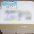 퍼피바게트 이미지