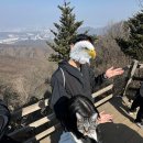 하산휴게음식점 | 청계산 등산] 초보 등린이의 매봉 정복기: 5분 만에 심박수 180? (상세 시간, 주차, 원터골 등산 후기)