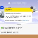 (주)플랜하다 | 대전 성심당 초코튀소 말차크로와상 후기 직장인 대학원생 일상