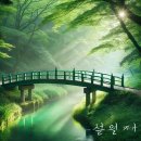 나를 찾는 시간, 사진에세이 이미지