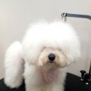 늘 예쁘개 이미지