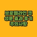 (주)나인코퍼레이션 | 브로멜라인큐 성분 효과 후기 주의사항