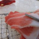 오다참치 이미지