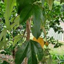 누리마당민박 이미지