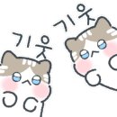 유성대로1689번길 이미지