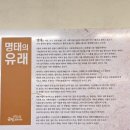 금빛코다리 이미지