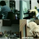 MY DOG(마이도그) 이미지