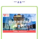고고야투어