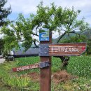 너브내길_1 이미지