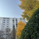 스위치온다이어트 1일~3일차 1주차 허용음식, 운동, 쉐이크 첫 삼일만 버티자