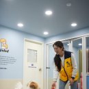 대림유치원 | [옐레드] 애견유치원 창업문의 후기: 강아지유치원비용부터 애견유치원 자격증까지 완벽 가이드