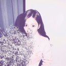모모모 이미지
