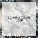 내몸에건강이야기