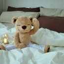 릴렌하우스 이미지