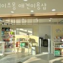양덕천길 | 창원 마산 합성동 애견샵, 펫샵 데이즈몽 애견미용샵 분양추천! 믿을 수 있는 업체소개