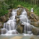 죽녹원마을 이미지