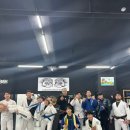 칼슨그레이시 코리아 이미지