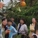 송계농어촌체험휴양마을 이미지